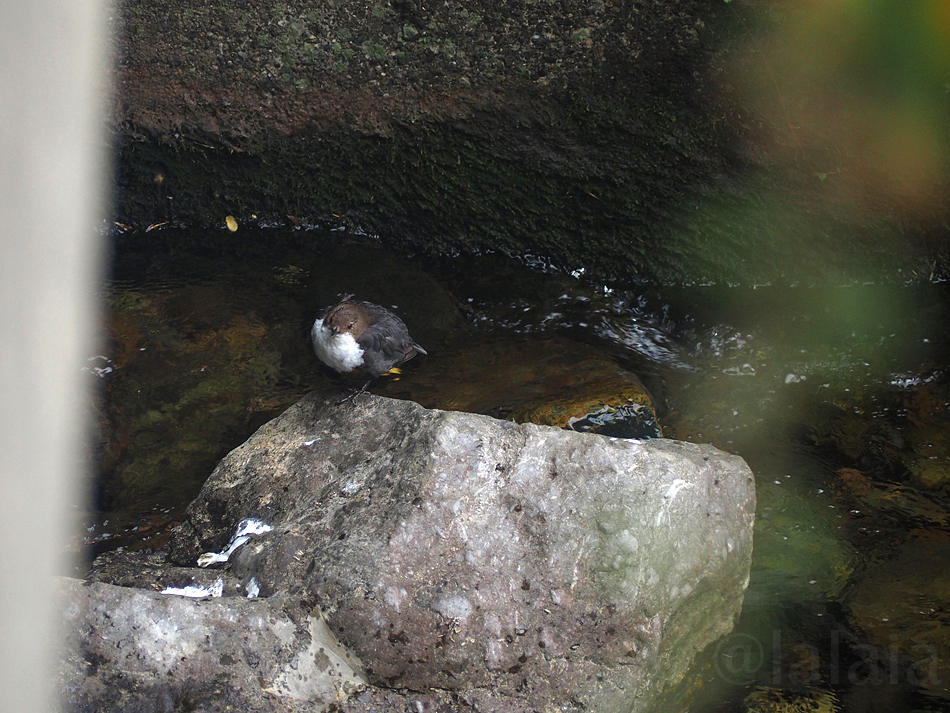 zP6211344 jun25.jpg